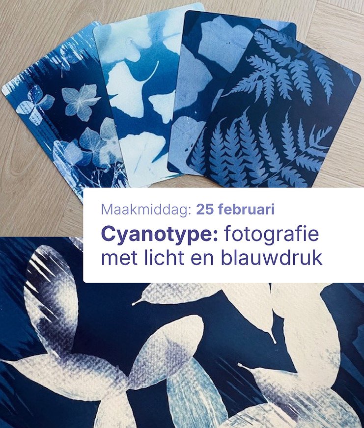 Workshop Cyanotype: Fotografie met Licht en Blauwdruk
