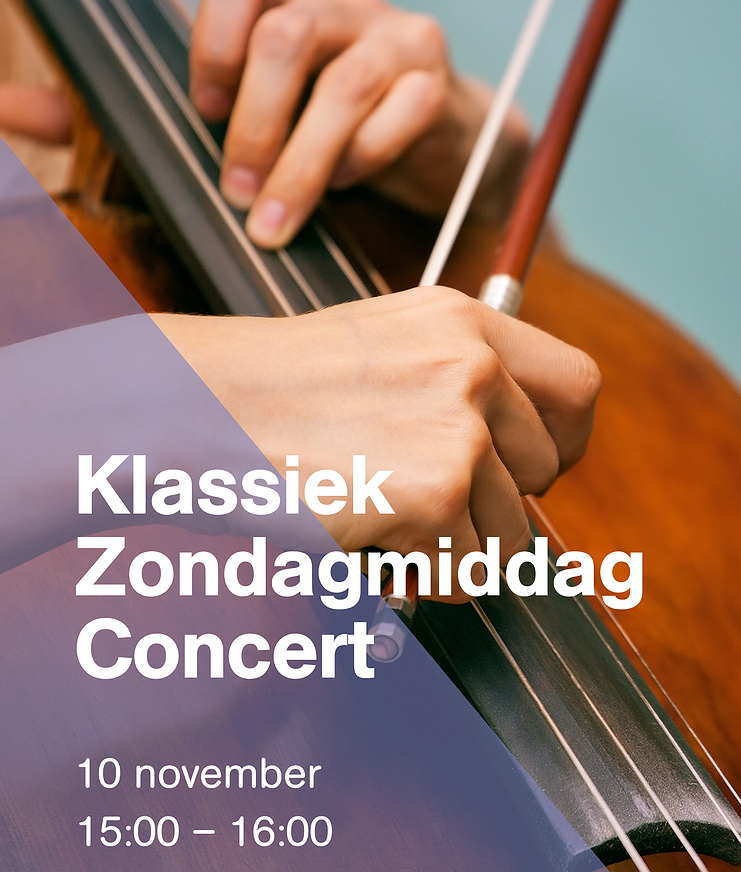 Bijbehorende foto voor activiteit Klassiek Zondagmiddag Concert