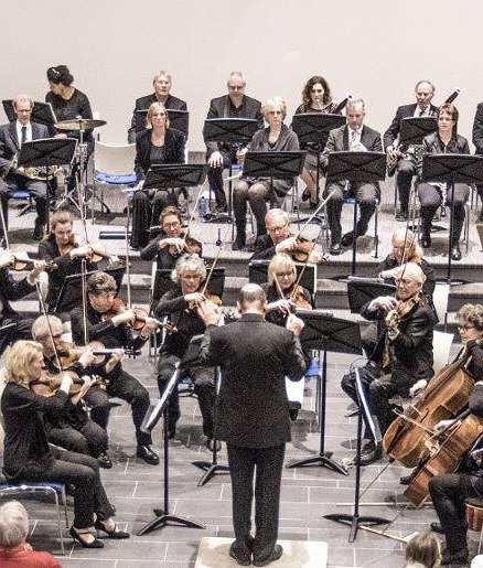 Bijbehorende foto voor activiteit Rijnlands symfonie orkest