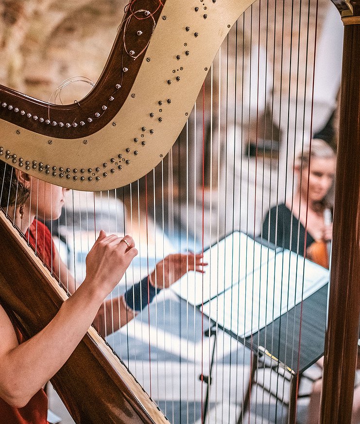 Bijbehorende foto voor activiteit Harp Introductiecursus