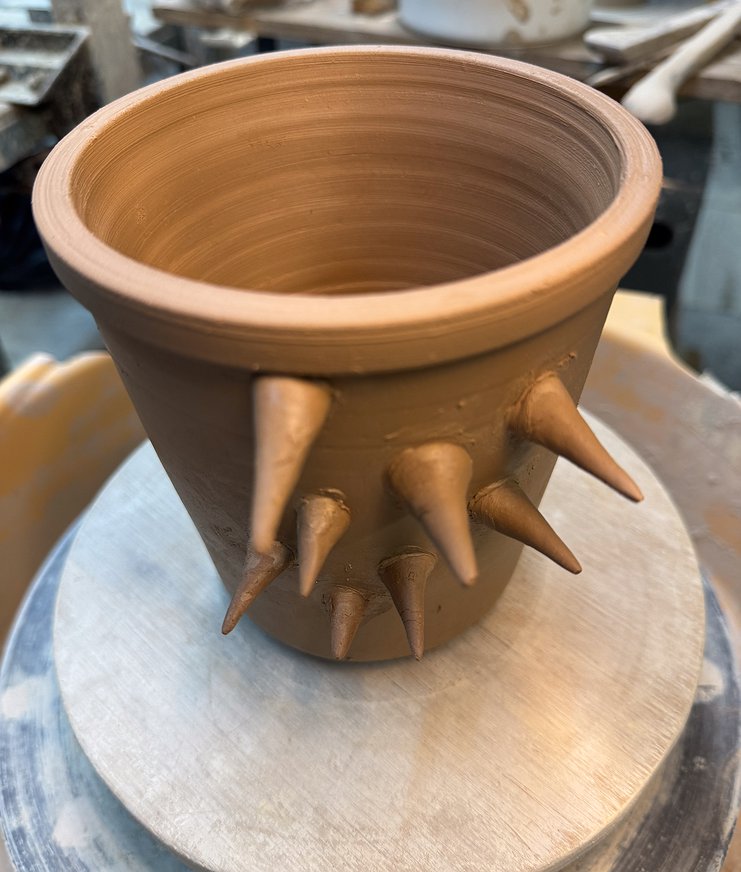 Workshop 67: Potten met punten / schalen met stekels