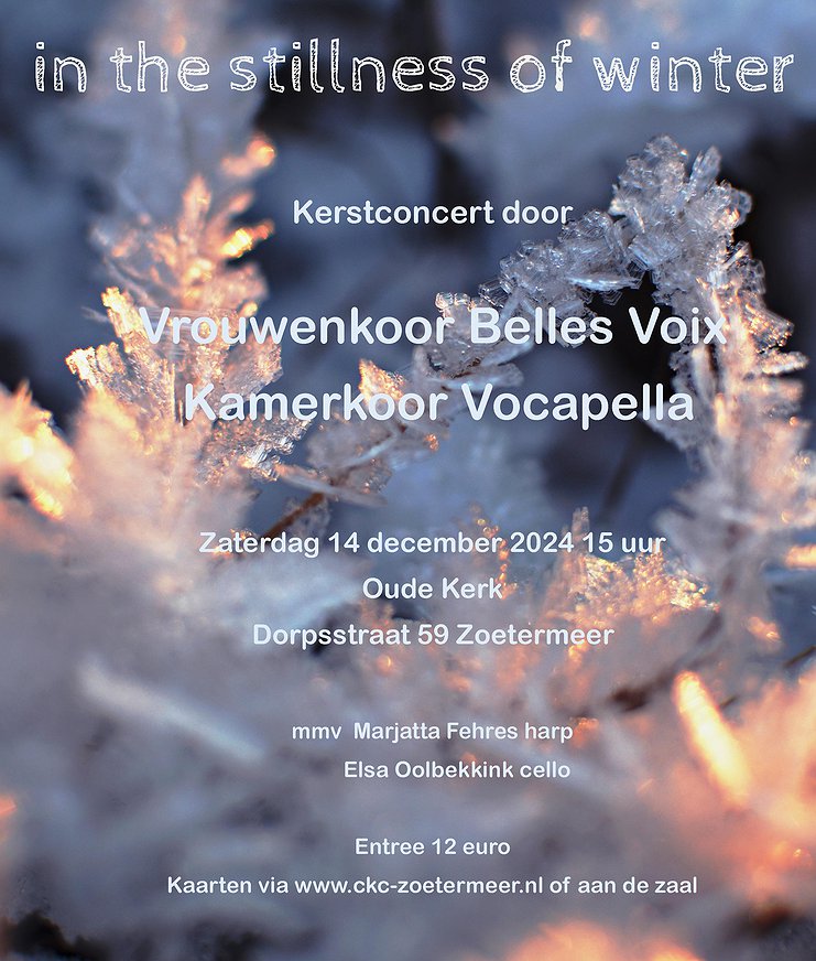 Kerstconcert In the Stillness of Winter