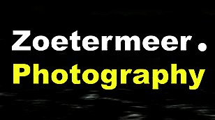 Zoetermeer Photography - Ellen Houtman